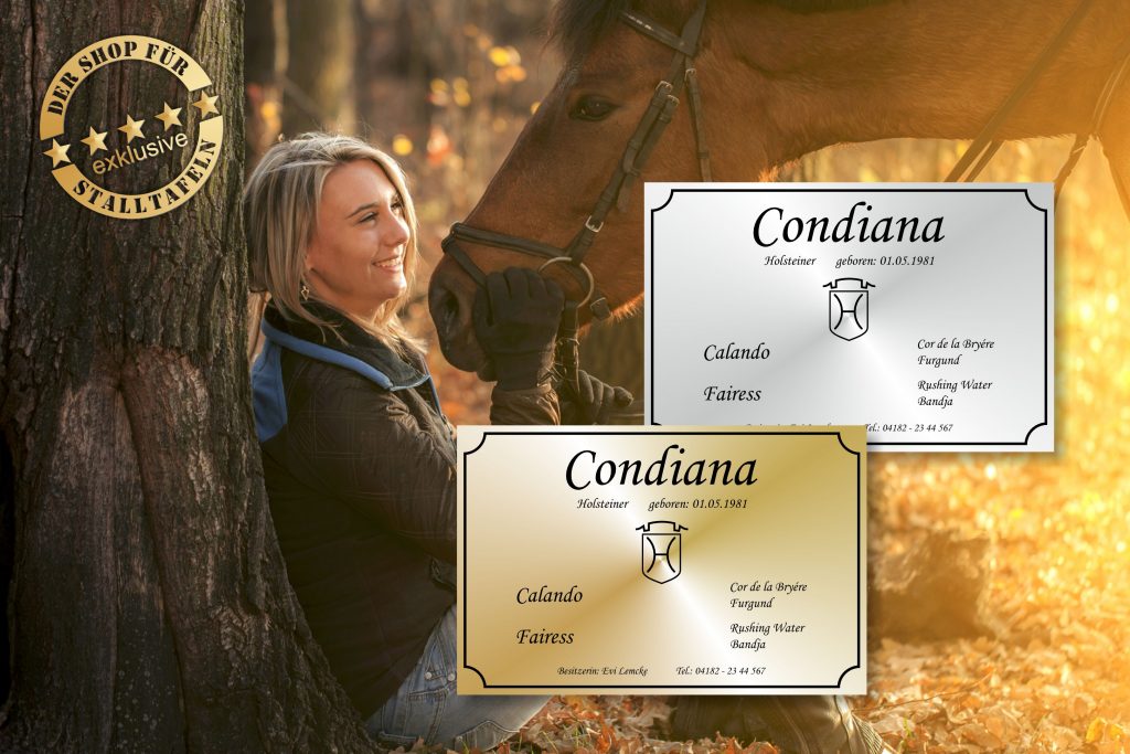 horsesign front klassiker