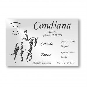 dresden silber k kopie