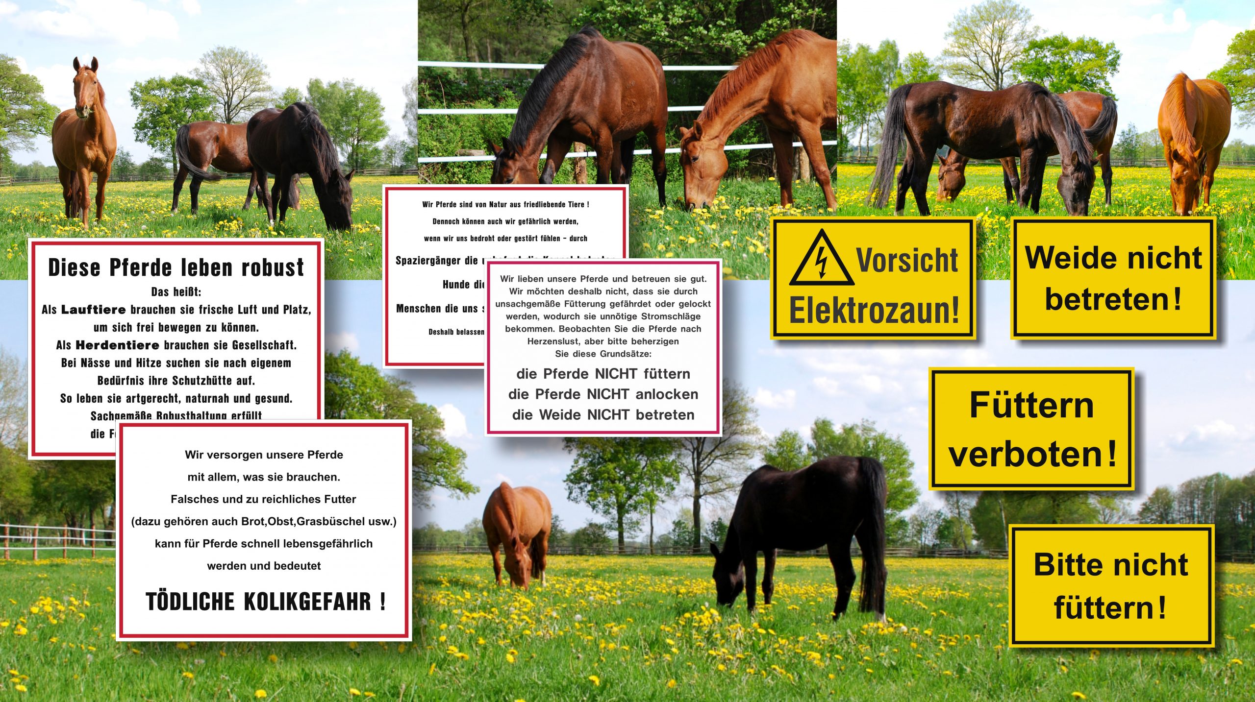 horsesign weideschilder 092025