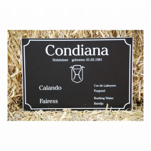 stalltafel brandenburg (kopie)