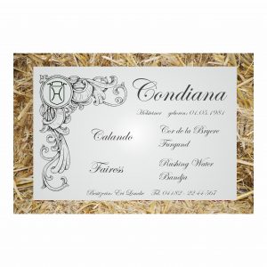 stalltafel innsbruck 