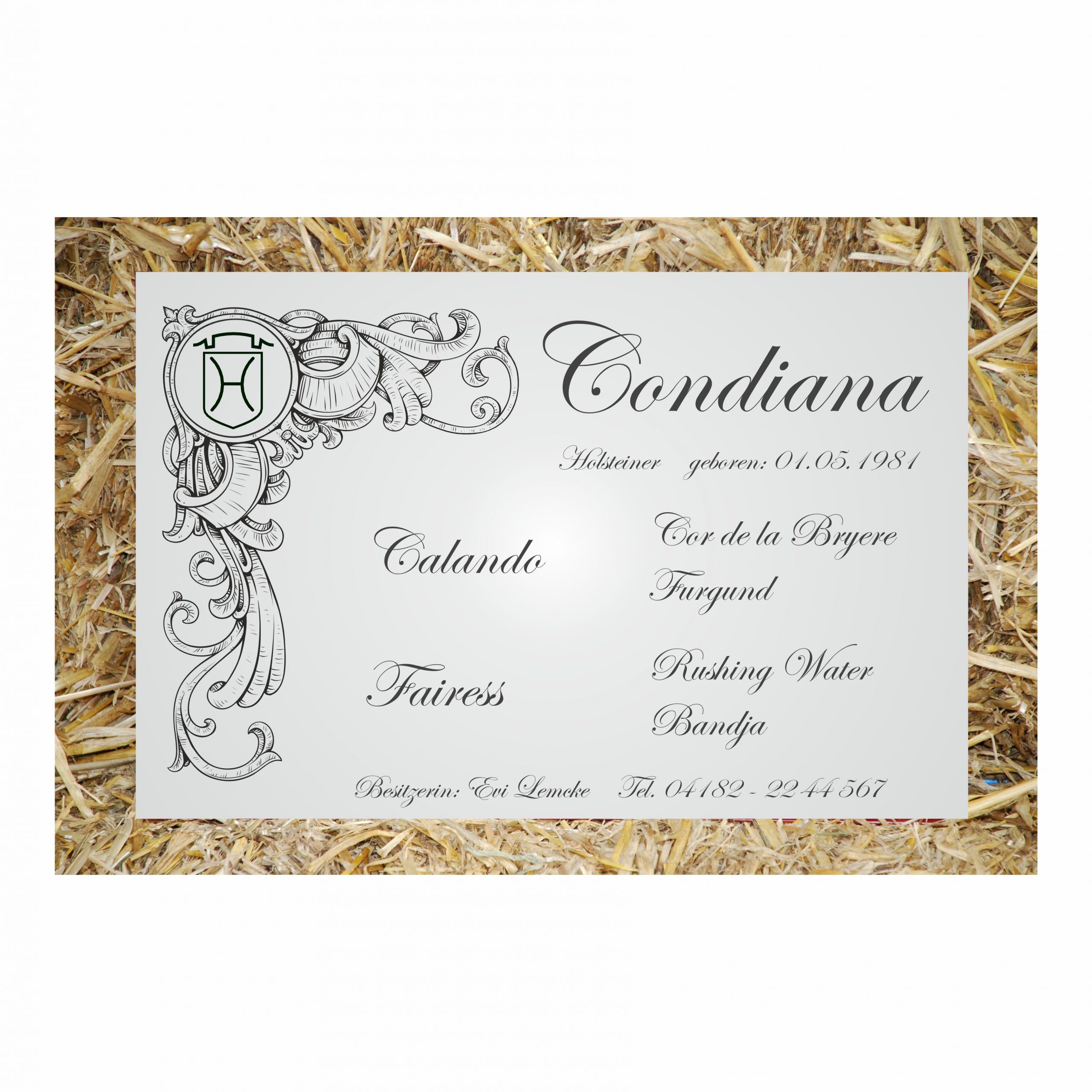 stalltafel innsbruck stalltafel innsbruck