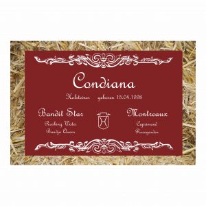 stalltafel innsbruck 