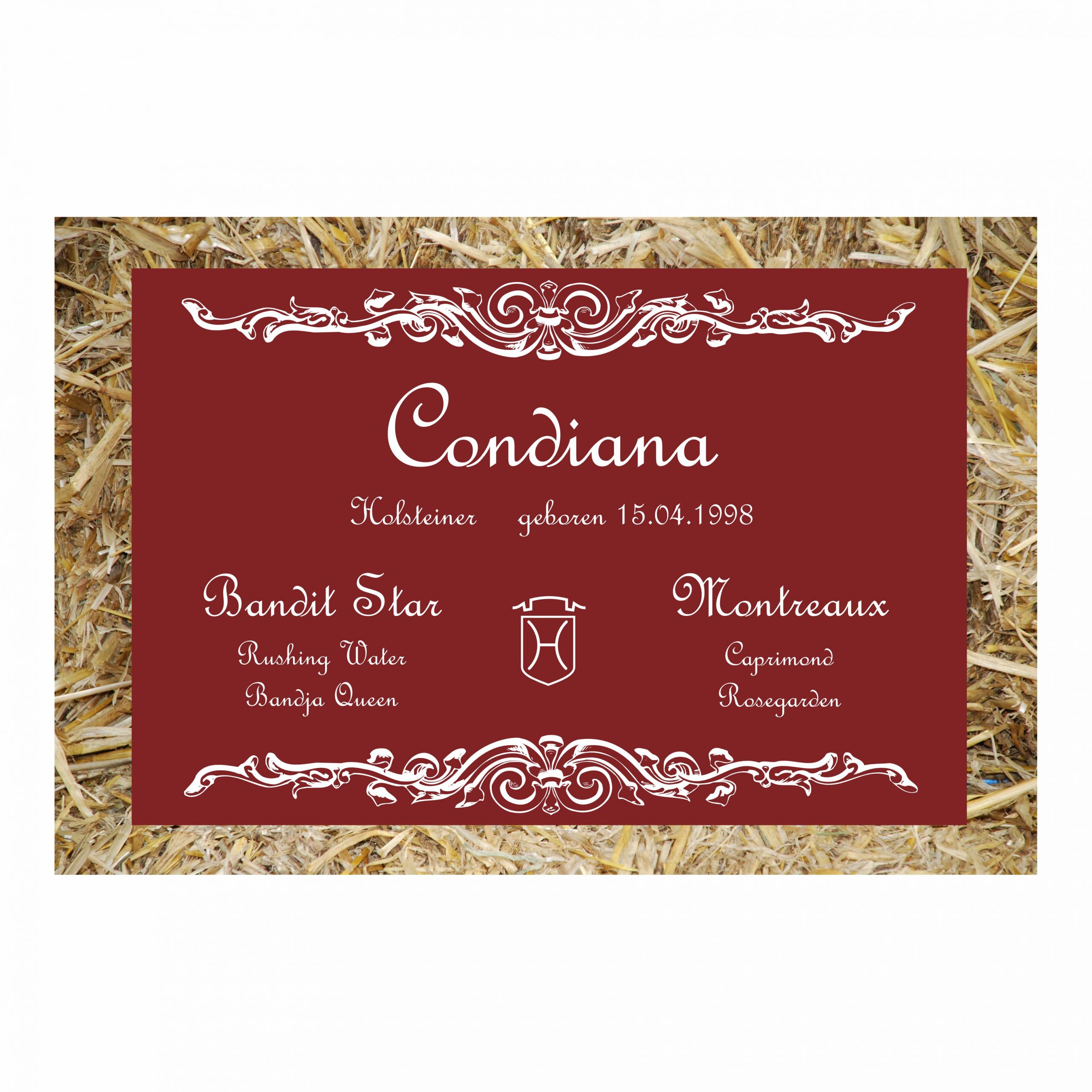 stalltafel innsbruck stalltafel innsbruck