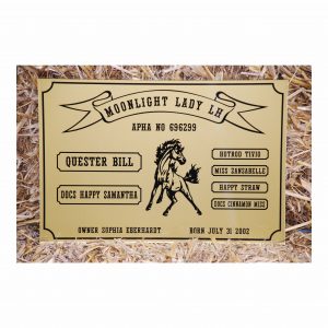 stalltafel oldenburg (kopie)