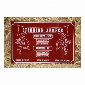 stalltafel western 1 