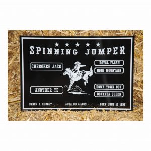 stalltafel western 1 